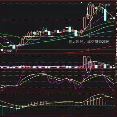 最新牛散持股一覽表，揭示市場主力動向